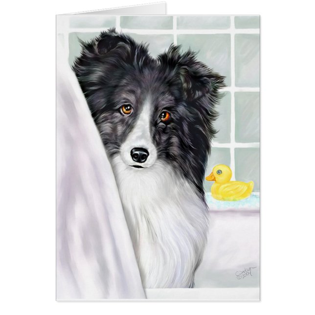 Cartão Bi Black Sheltie Bath (Frente)
