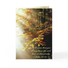 Bíblia Inspiracional Verso John 10 10 Folhas de ou