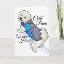 Bichon de Neve de Coração Quente