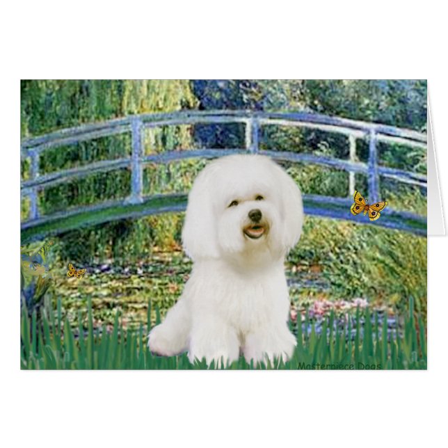 Cartão Bichon Frise 1 - Ponte (Frente Horizontal)