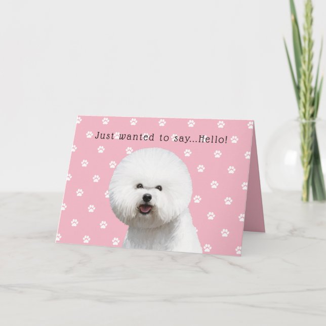 Cartão Bichon Frise Card (Frente)