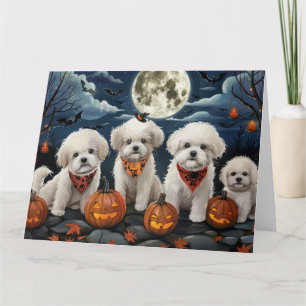 Cartão Bichon Frise Halloween Assustador