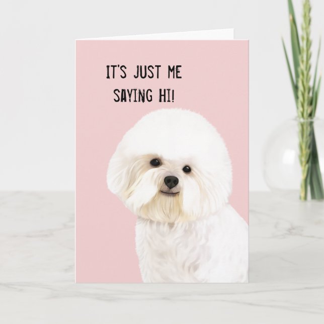 Cartão Bichon Frise Illustrated Greeting Card (Frente)