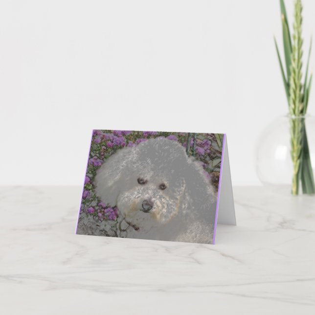 Cartão Bichon Frise Notecard (Frente)