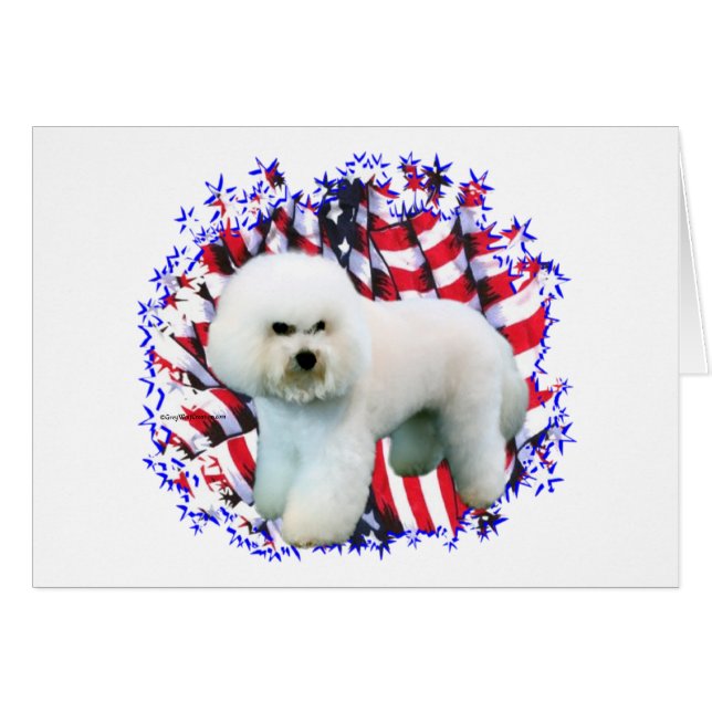 Cartão Bichon Frise Patriot (Frente Horizontal)