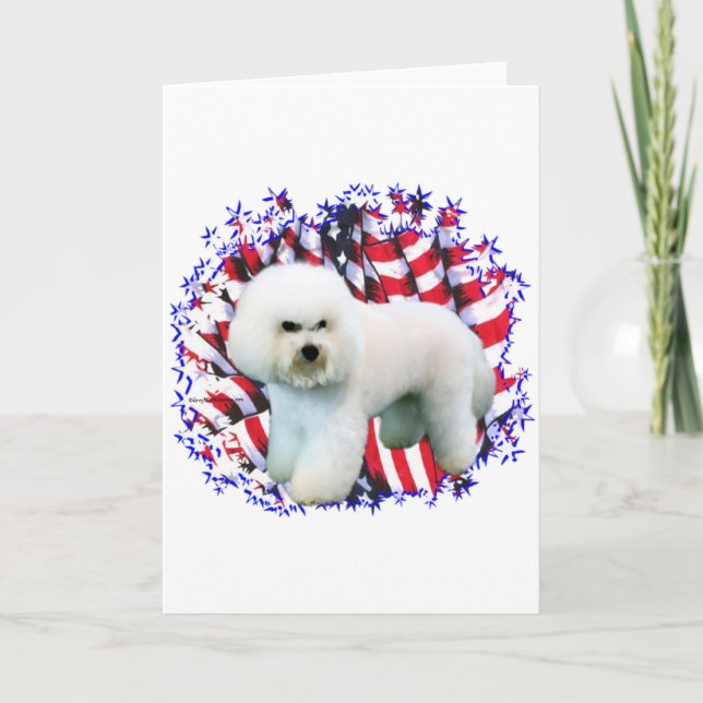 Cartão Bichon Frise Patriot (Frente)