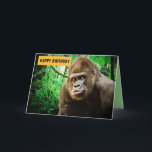 CARTÃO BIG APE FUNNY GORILLA BIRTHDAY CARD FOR HIM<br><div class="desc">GORILLA BIRTHDAY CARD. COVER READS: HAPPY BIRTHDAY. INSIDE READS: YA BIG APE</div>