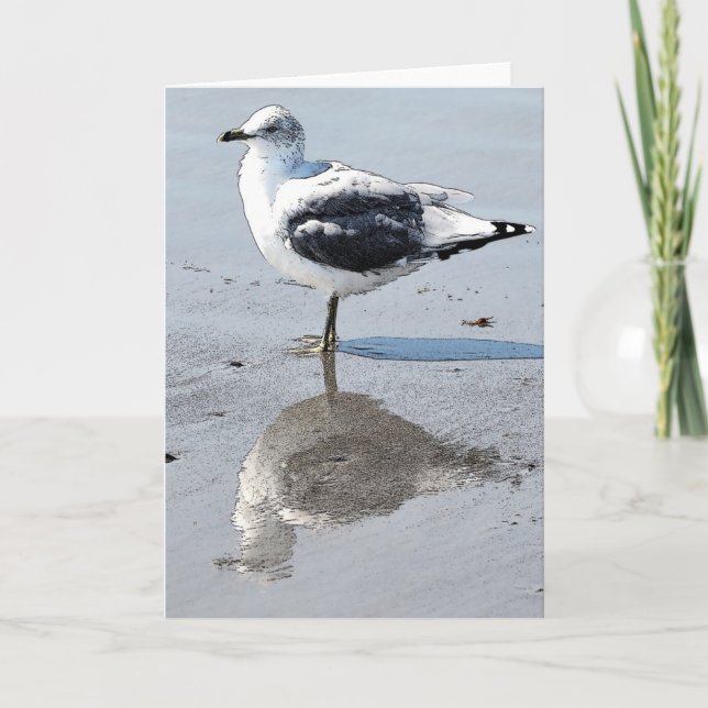 Cartão Big Baby Seagull - Blank Greeting Card (Frente)