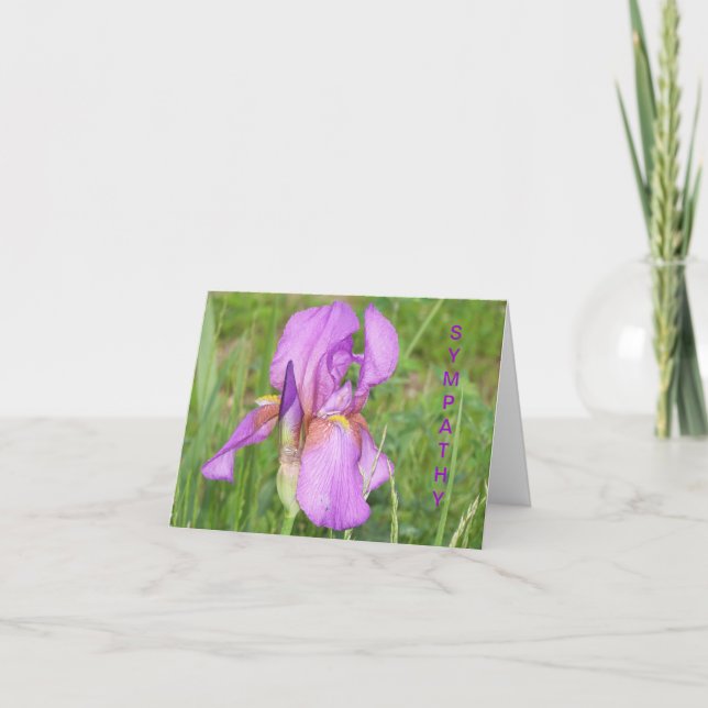 Cartão Big Beautiful Iris, Sympathy (Frente)