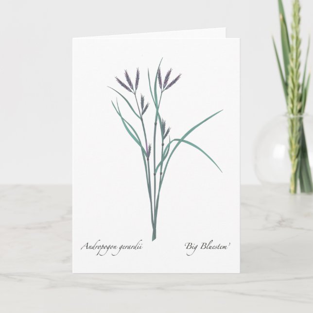 Cartão Big Bluestem Blank Greeting Card (Frente)