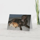 Cartão Big Brother Birthday Card<br><div class="desc">These two mismatched pups,  prove anyone with a good heart makes the perfect big brother. Wish yours a happy birthday and let him know how special he is.</div>