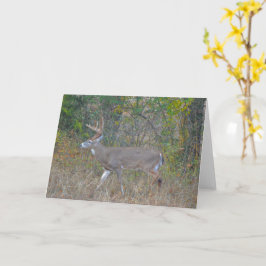 Cartão Big Buck Deer no Texas Art Note Card