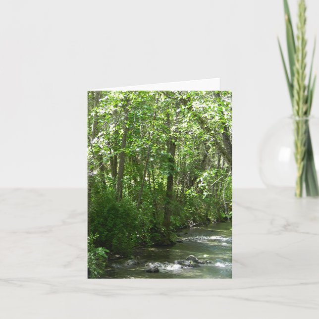 Cartão Big Creek no Verão... (Frente)