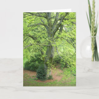 Cartão Big Green Tree Greeting Card
