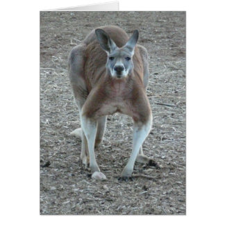 Cartão Big Red Roo