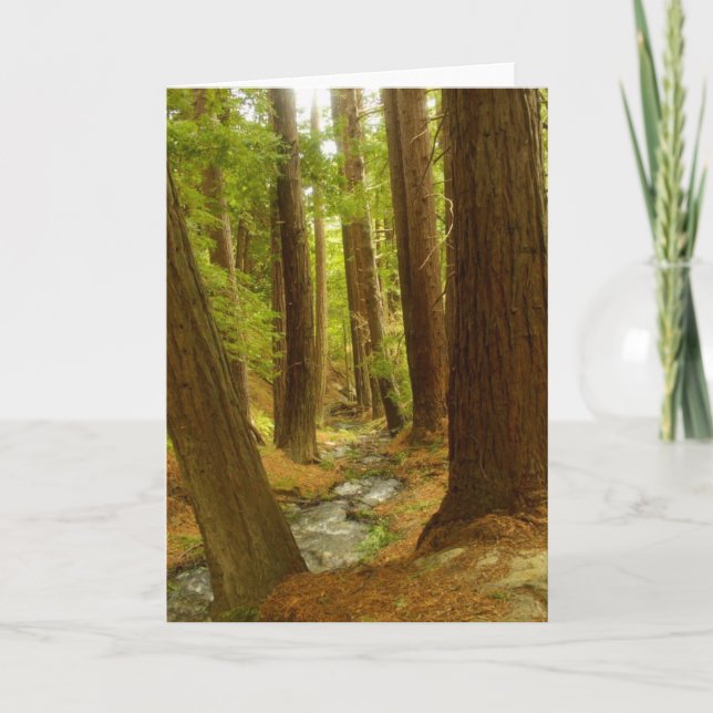 Cartão Big Sur, California (Frente)