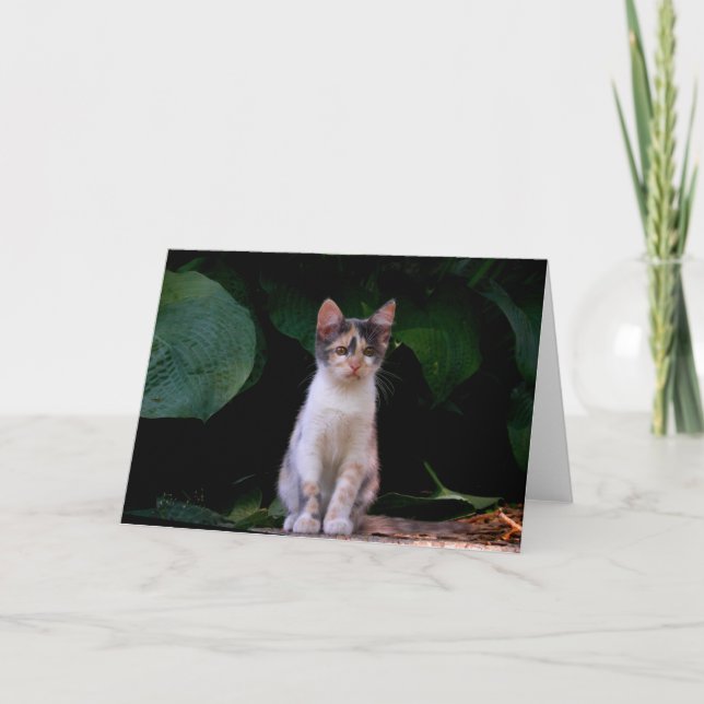 Cartão Big world (Frente)