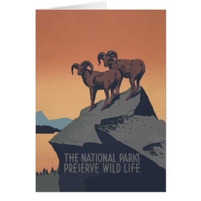 Cartão Bighorn Sheep American West Willife (Frente)