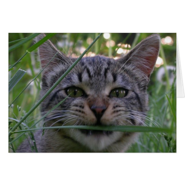 Cartão Bijou Grass (Frente Horizontal)