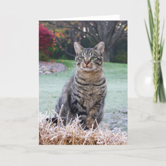 Cartão Bijou on straw