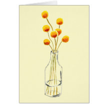 Billy Button, flores amarelas felizes da Austrália