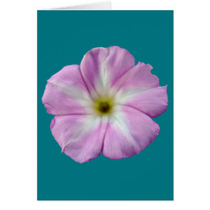 Cartão Bindweed nº 1