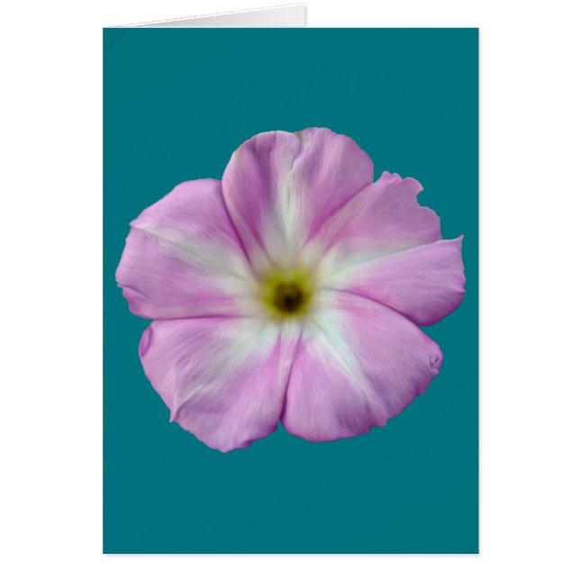 Cartão Bindweed nº 1 (Frente)