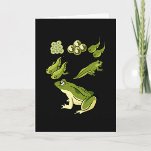 Cartão Biologia - Ciclo de vida do Sapo