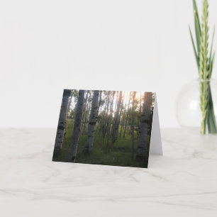 Cartão Birches in the Morning