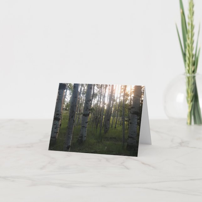 Cartão Birches in the Morning (Frente)