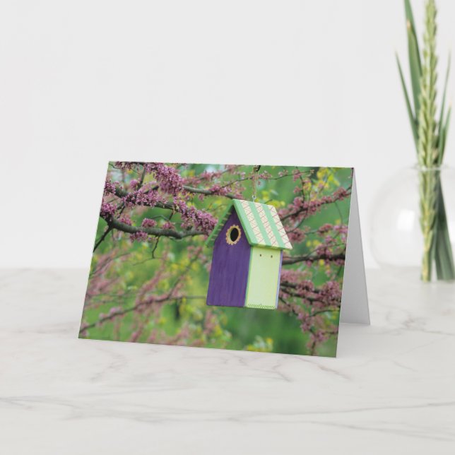 Cartão Bird House On A Redbud Tree (Frente)