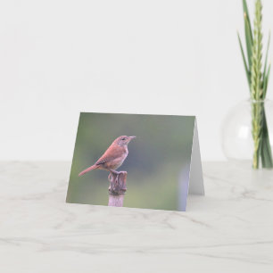 Cartão Bird Notecard