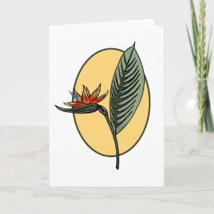 Cartão Bird Of Paradise