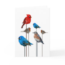 Bird Party Greeting Card