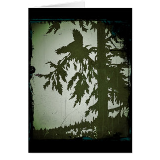 Cartão Bird Squawing em uma árvore