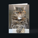 Cartão Birday Cat Funny Tabby Grumpy Green Eyes Squint<br><div class="desc">Esta Carta de Aniversário engraçada apresenta na frente uma mesa grande e rabugenta com olhos verdes quinteados. O nome dele é Biggie. Nós nos perguntamos por que ele está tão fora de série. Na frente da foto de Biggie estão as palavras "É meu aniversário", a mensagem continua, "quando digo que...</div>