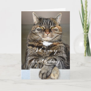 Cartão Birday Cat Funny Tabby Grumpy Green Eyes Squint