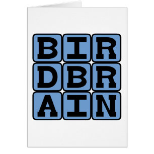 Cartão Birdbrain, observador de aves