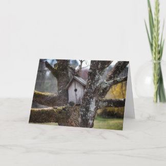 Cartão Birdhouse 4219 Framable greetibg card