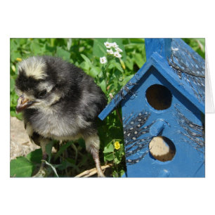 Cartão Birdhouse de Pintinho e mídia mista