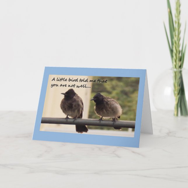 Cartão Birds get well card (Frente)