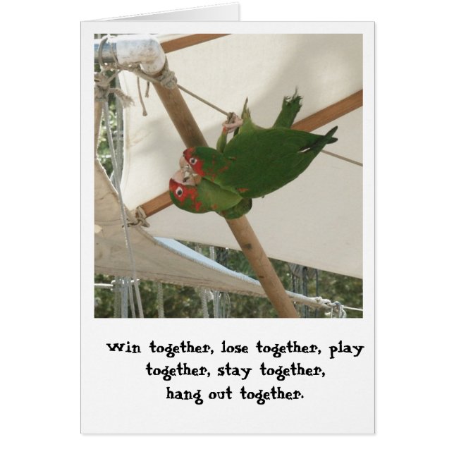 Cartão Birds of a Feather (Frente)