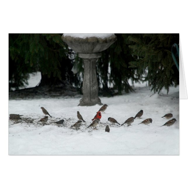 Cartão Birds of a Feather (Frente Horizontal)