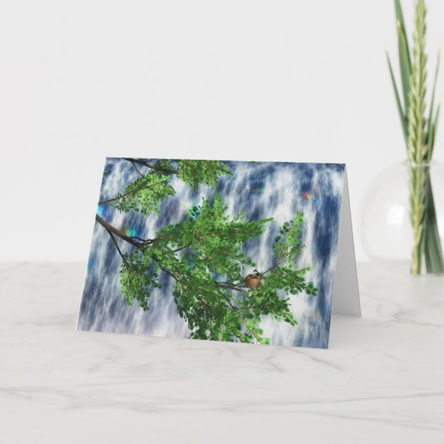 Cartão Birdsnest Falls Card (Frente)