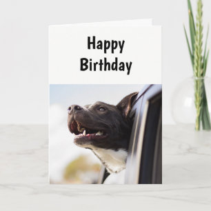 Cartão Birthday A day Like No Other Humor Dog Card