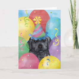 Cartão Birthday Balloons Black Lab