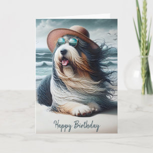 Cartão Birthday Bearded Collie Na Praia