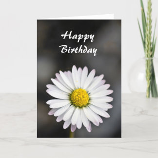 Cartão Birthday beautiful white and yellow daisy