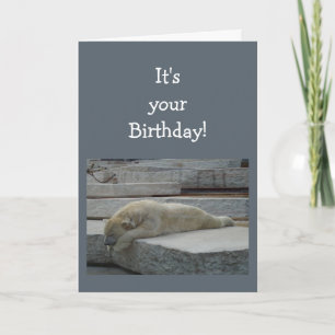 Cartão Birthday Blahs Diversão Idade Humor Urso Polar Ani