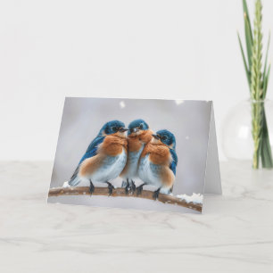 Cartão Birthday Bluebird em uma ramificação de inverno